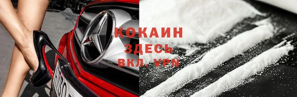 дживик Новодвинск