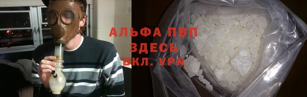 ешки Новозыбков