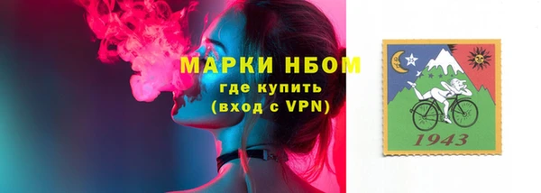 дживик Новодвинск