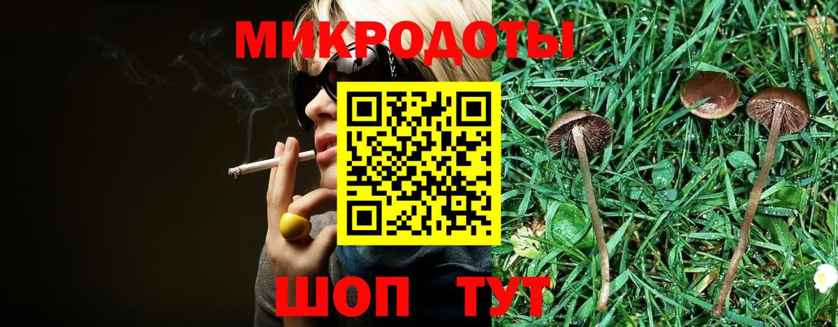 Галлюциногенные грибы Psilocybe Иркутск