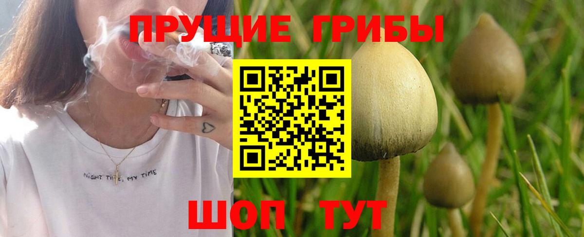 Иркутск  Псилоцибиновые грибы GOLDEN TEACHER  как найти закладки  Галлюциногенные грибы Psilocybe  Вход с VPN 